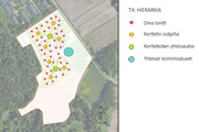 Sosiaalinen hierarkia
