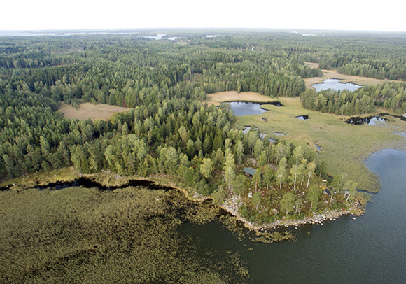 Periaatekuva